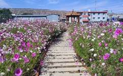 女生说B是什么意思